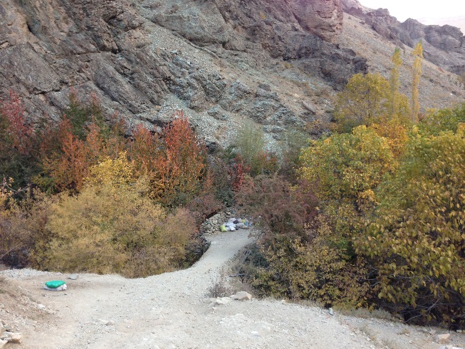 طبیعت زرد پاییزی هنگام صعود به قله توچال از مسیر آهار - شکرآب - توچال 